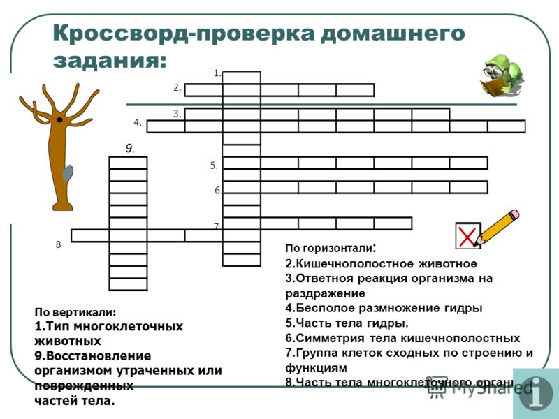 Как зайти на сайт кракен